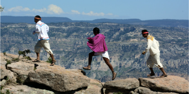 Primavera en la Sierra Tarahumara